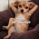 Без описания