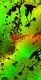 68addf02a26c66.310005661756225282_68addf02a26cf4.30773620.jpg