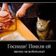 Без описания