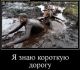 Без описания