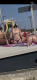 688a2ff11be1c3.726134771753886705_688a2ff11be272.56697102.png