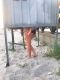 Анапа сегодня,)))