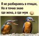 Без описания