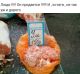 Без описания