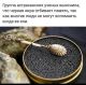 Без описания