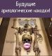 Без описания