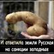 Без описания