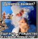 Без описания