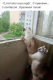 Без описания