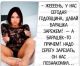Без описания