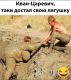 Без описания