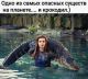 Без описания