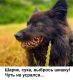 Без описания