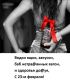 Без описания