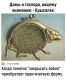 Без описания