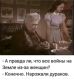 Без описания