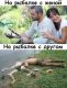 Без описания