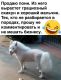 Без описания