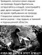 Без описания