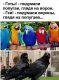 Без описания