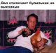 Без описания