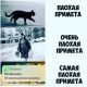Без описания