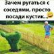 Без описания