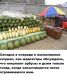 Без описания