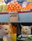 Без описания