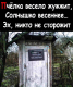 Без описания