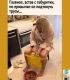 Без описания
