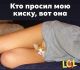 Без описания