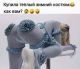 Без описания