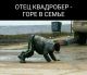 Без описания