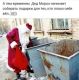 Без описания