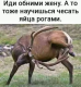 Без описания