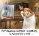 Без описания