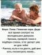 Без описания