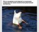 А с современными нейросетями это стало намного проще.