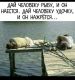 Без описания