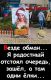 Без описания