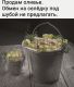 Без описания