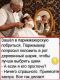Без описания