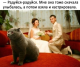 Без описания