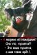 Без описания