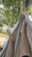 678fc6c2298793.214106171737475778_678fc6c22987c3.86099169.gif